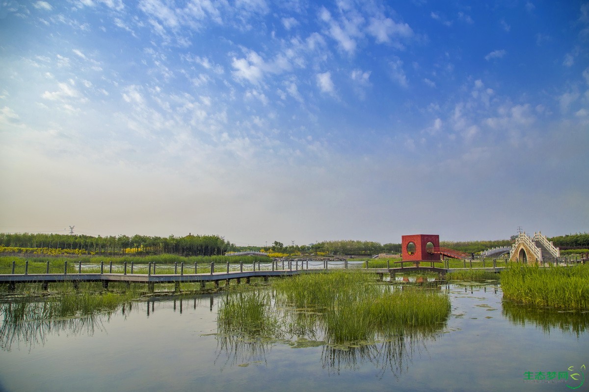 天津临港生态湿地公园
