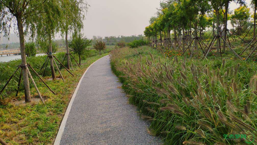 生态城最大公园——南堤滨海步道公园来了,能看海