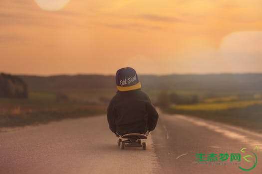 skateboard-child-boy-sunset-53968.jpeg